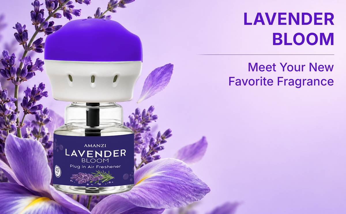 Lavender Bloom