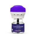 Lavender Bloom
