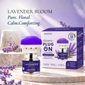 Lavender Bloom